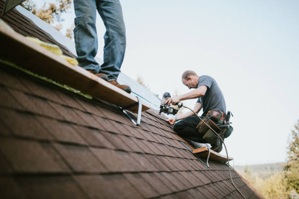 Fast & Reliable Emergency Roof Repairs in Hollymead, VA